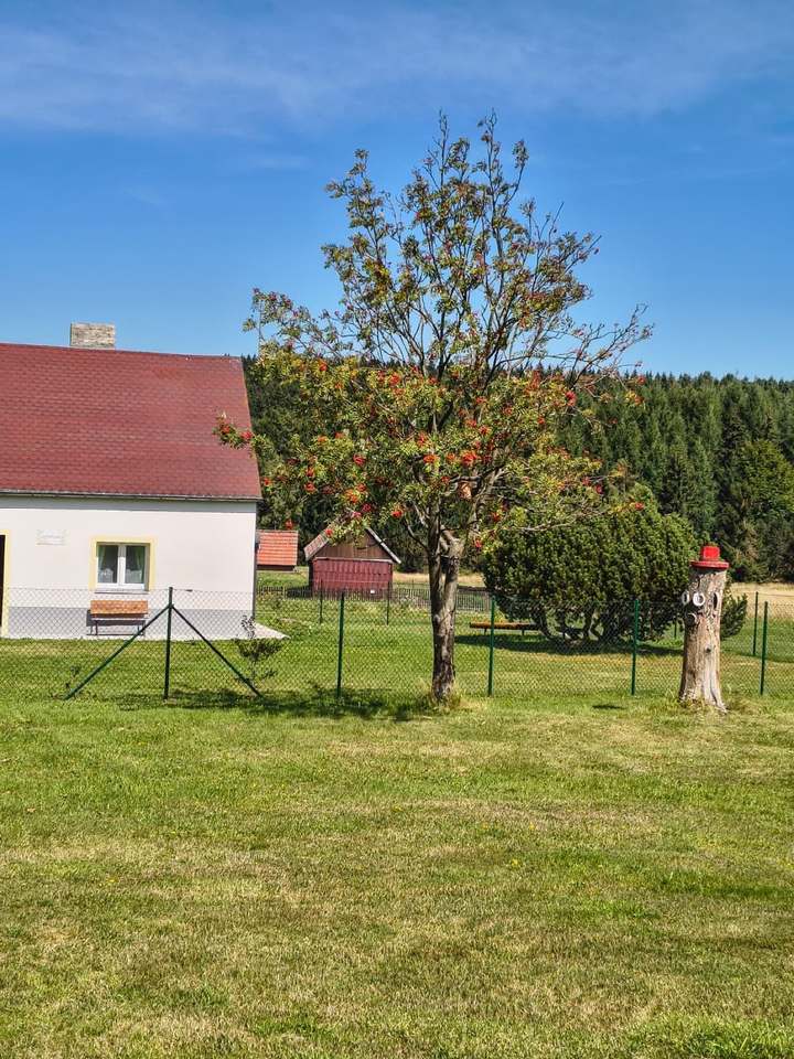 Zahrada chaloupky s jeřabinou